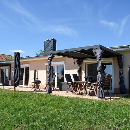 Barrierefreie Ferienwohnung Trueben Bornum Dış mekan fotoğraf