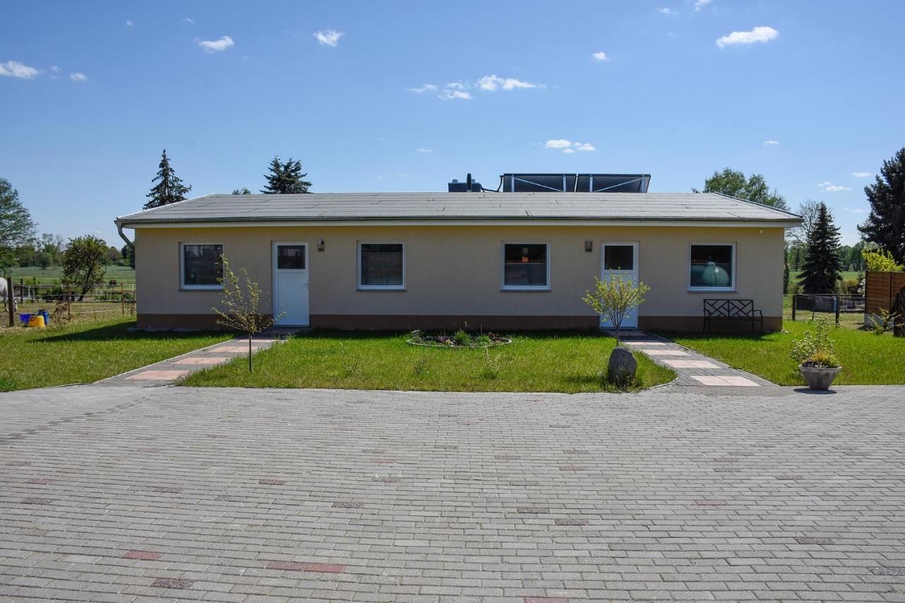 Barrierefreie Ferienwohnung Trueben Bornum Dış mekan fotoğraf